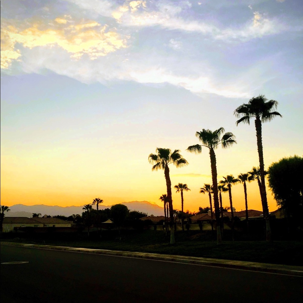 Meet your Posher, Julian